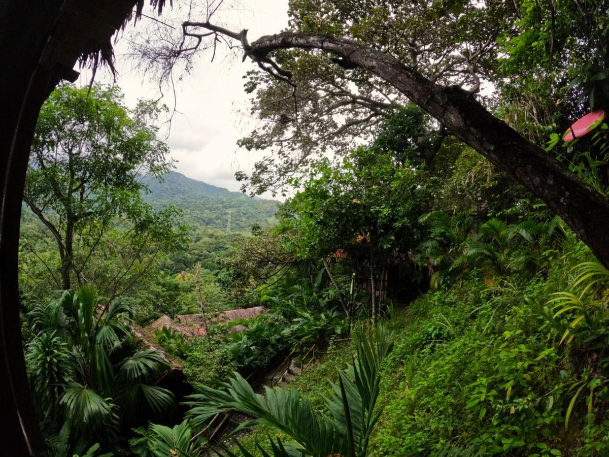 Ecohostal Rio Piedra El Zaino Luaran gambar