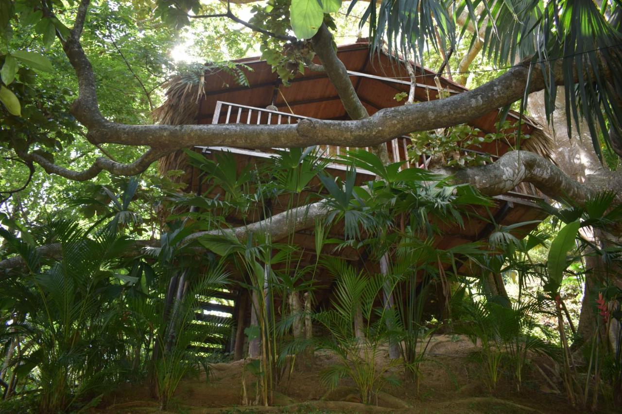 Ecohostal Rio Piedra El Zaino Luaran gambar