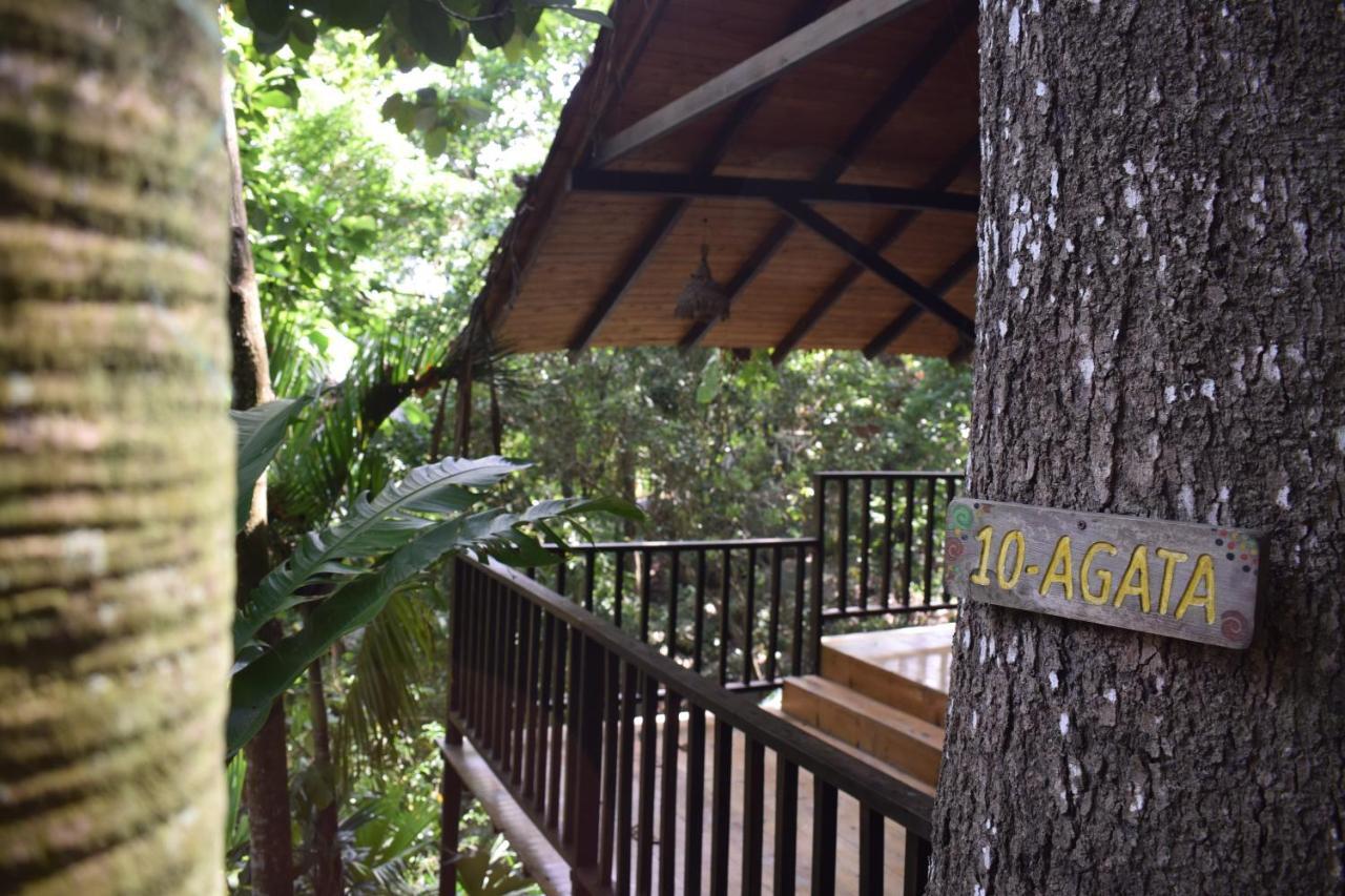 Ecohostal Rio Piedra El Zaino Luaran gambar