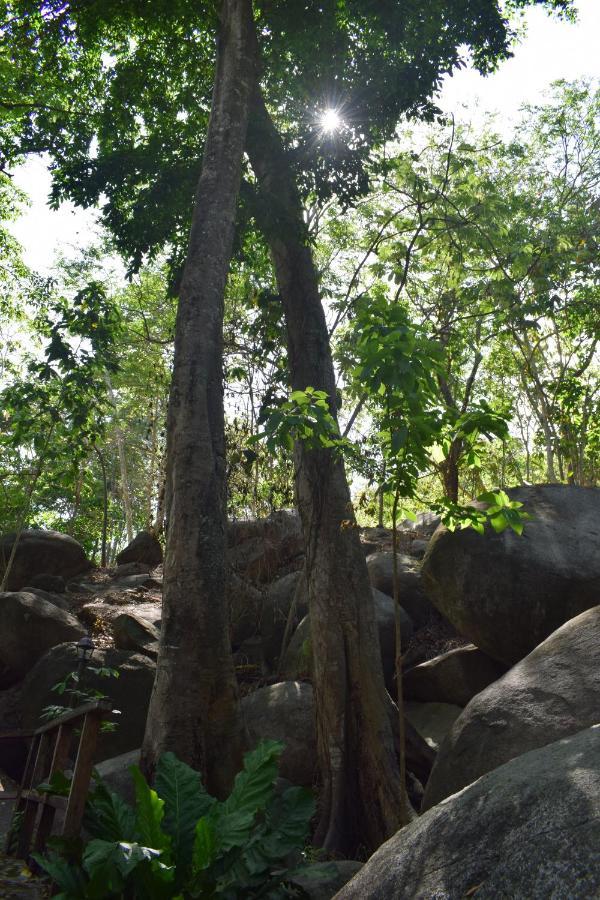 Ecohostal Rio Piedra El Zaino Luaran gambar