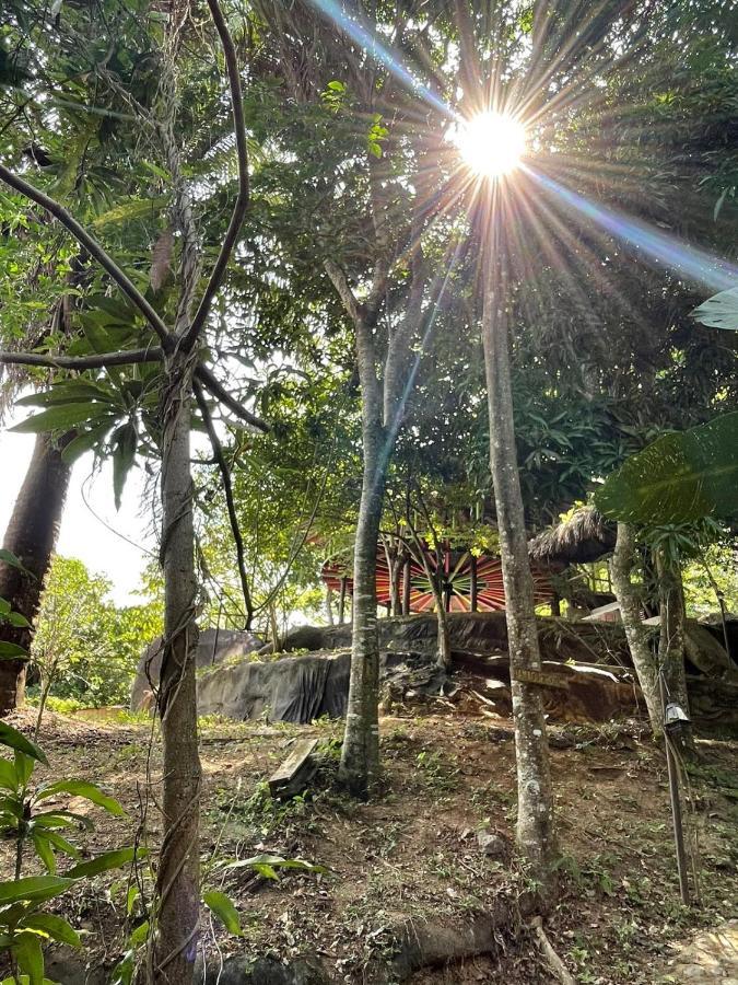 Ecohostal Rio Piedra El Zaino Luaran gambar
